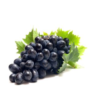 American Grape